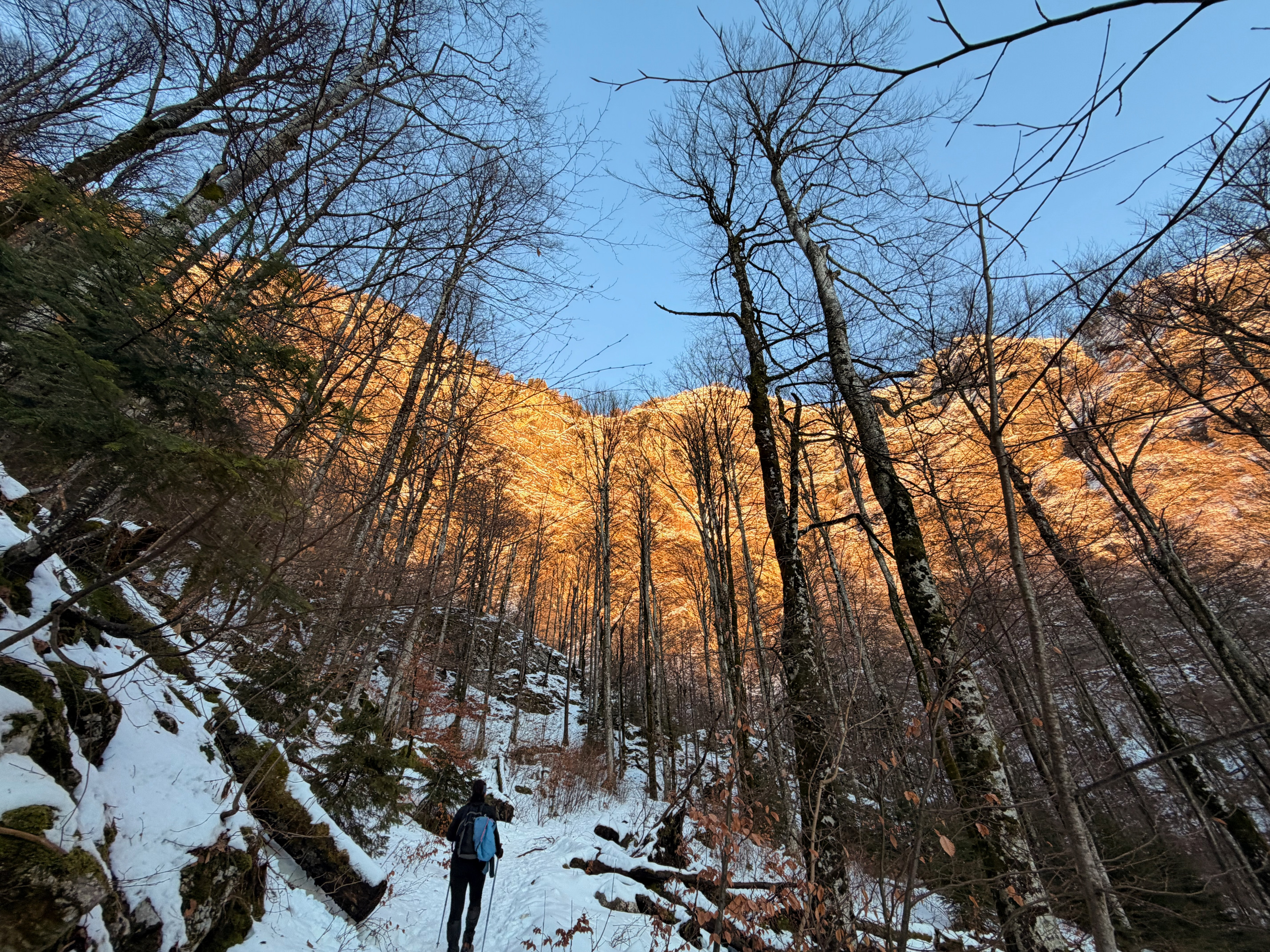 Koča pod Bogatinom – fotografija s poti
