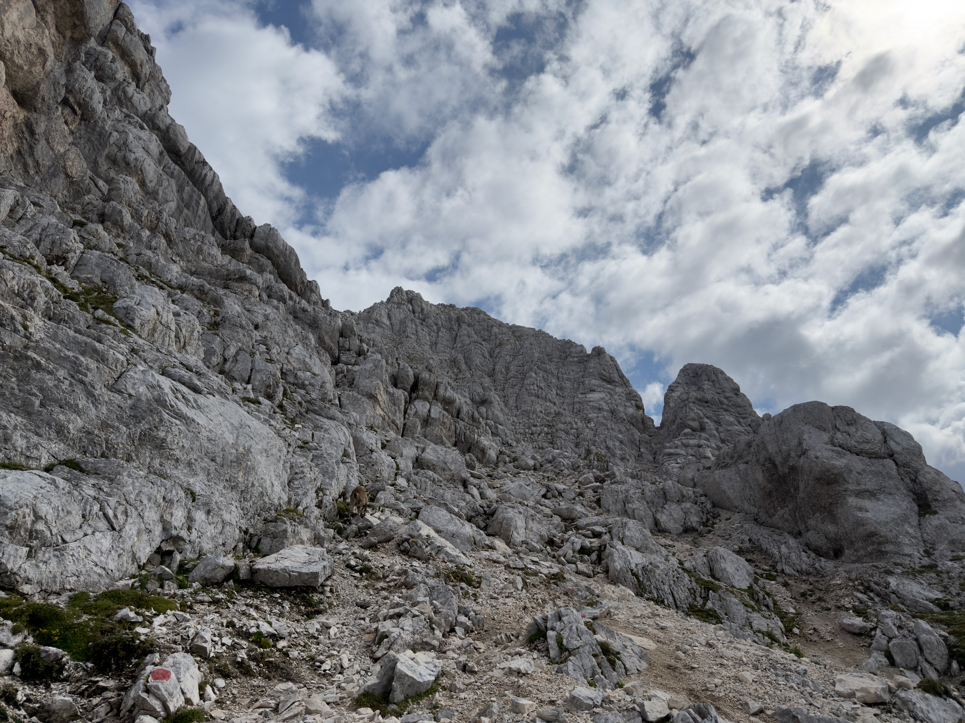 Montaž / Jôf di Montasio – fotografija s poti