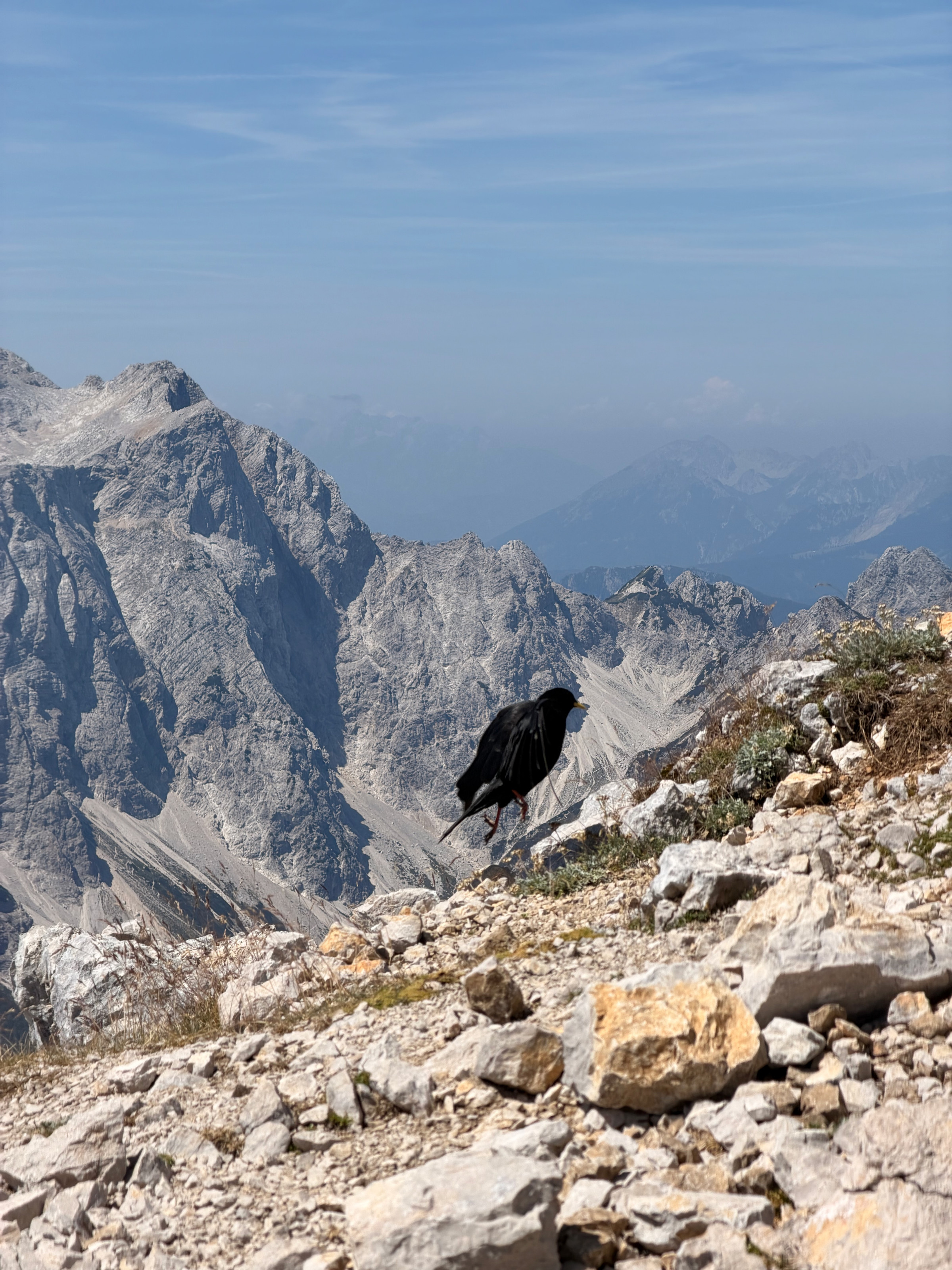 Ojstrica – fotografija s poti