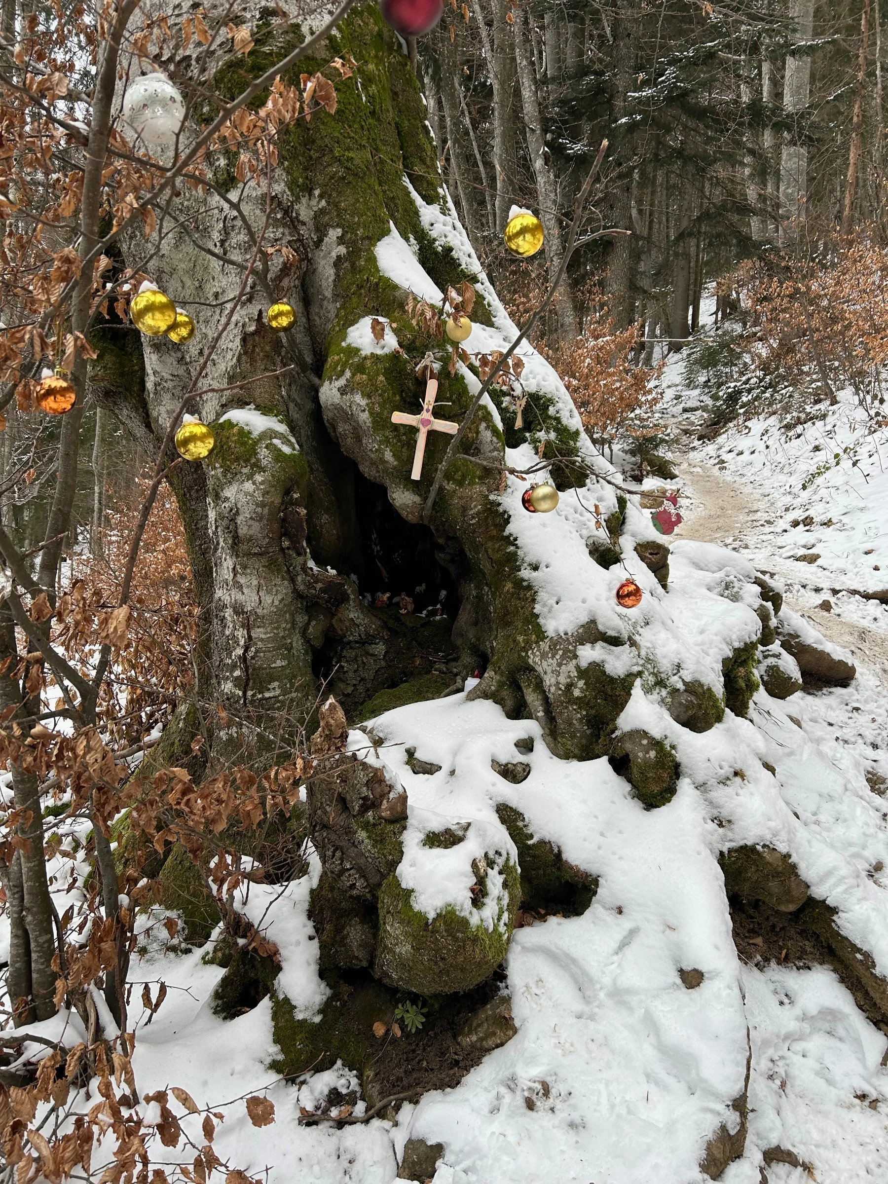 Kriška gora – fotografija s poti