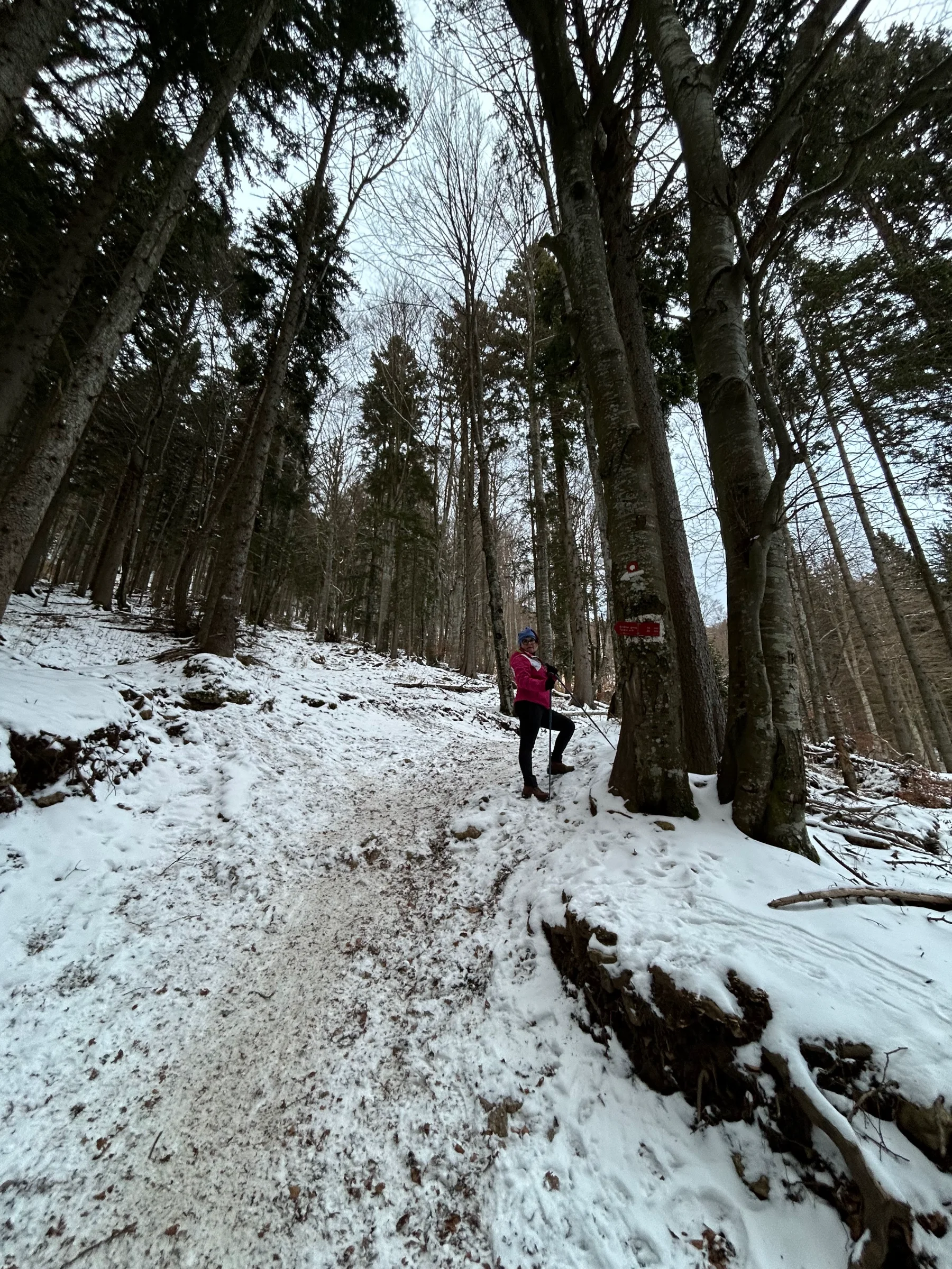 Kriška gora – fotografija s poti