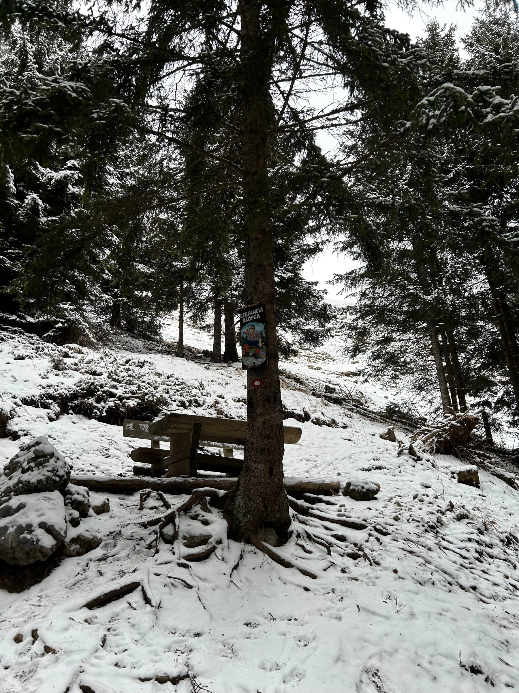 Kriška gora – fotografija s poti