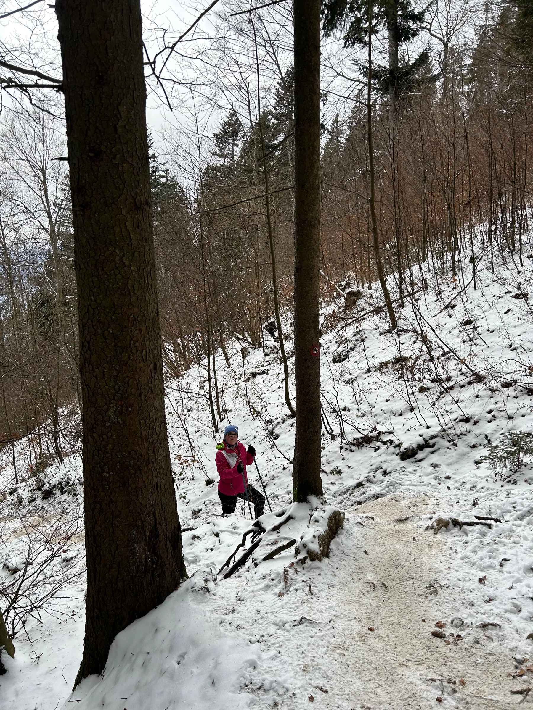 Kriška gora – fotografija s poti