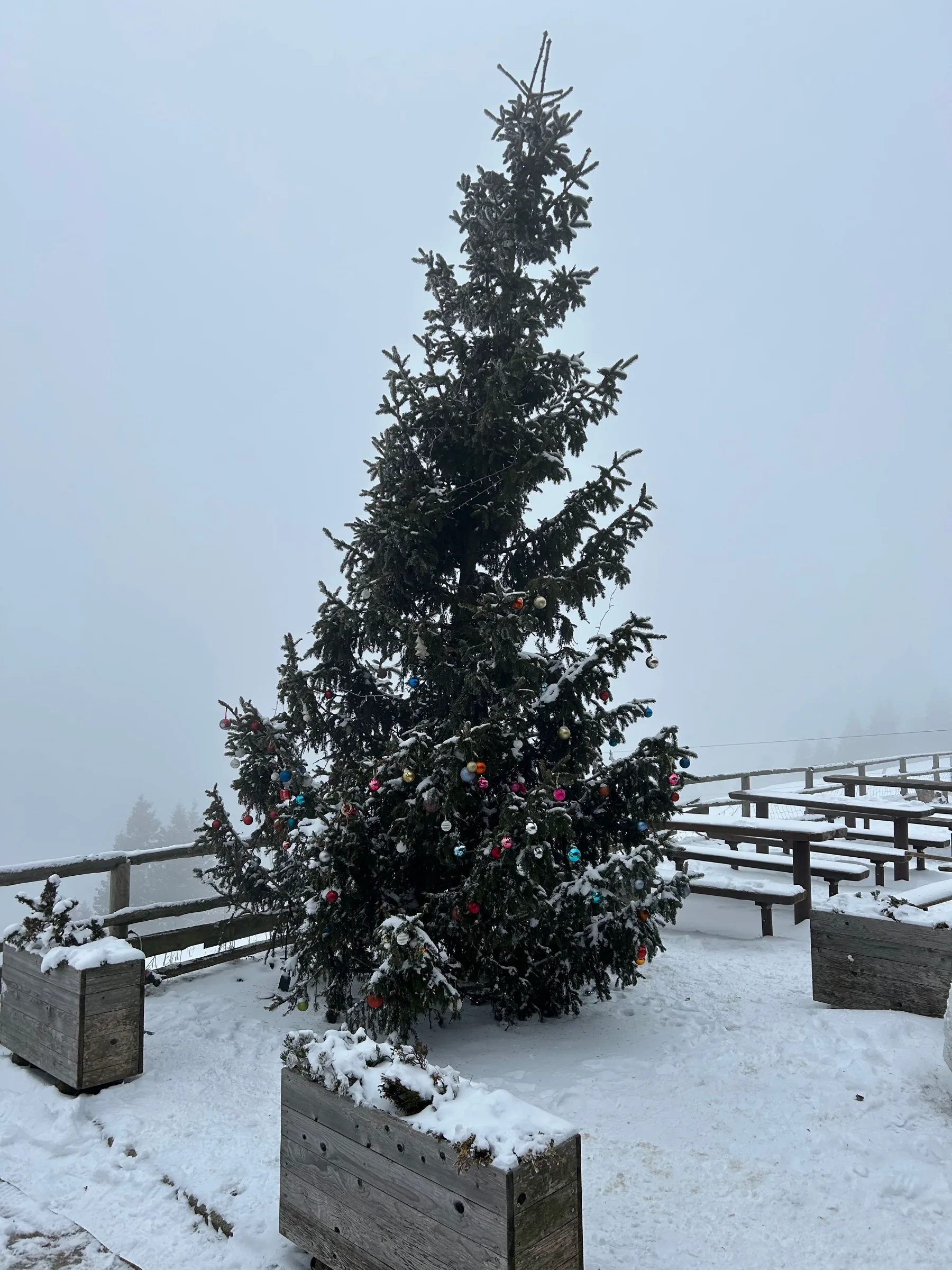 Kriška gora – fotografija s poti