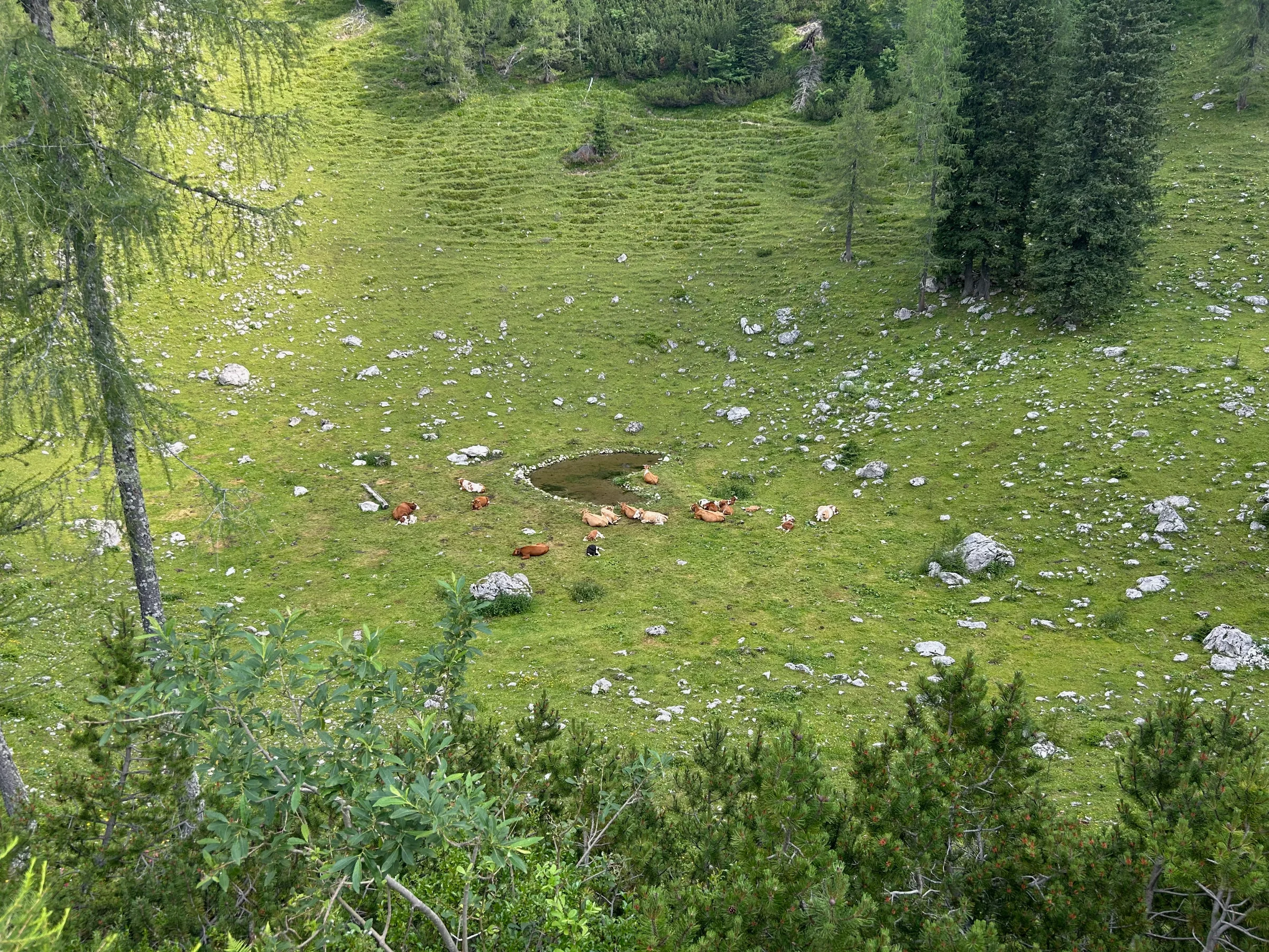 Debela peč – fotografija s poti