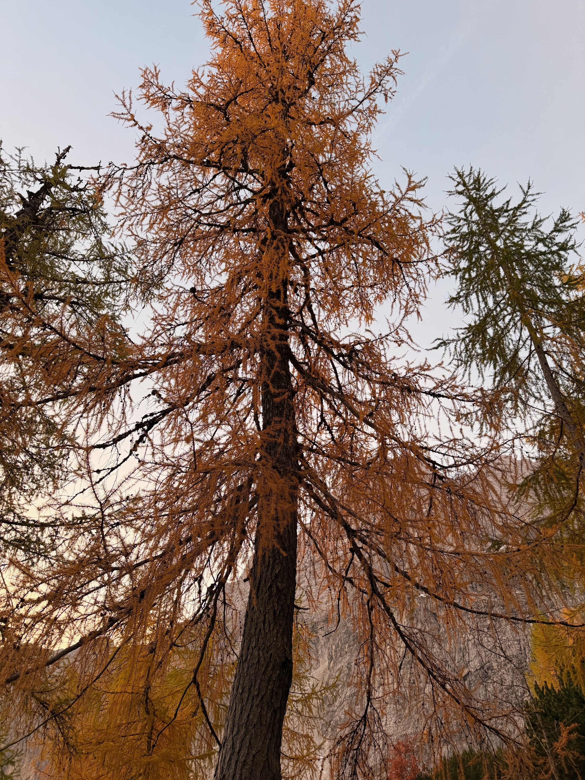 Slemenova špica – fotografija s poti